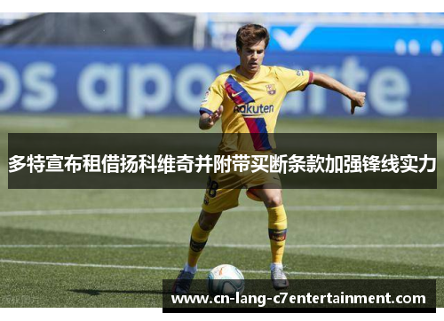 多特宣布租借扬科维奇并附带买断条款加强锋线实力 多特宣布租借扬科维奇并附带买断条款加强锋线实力