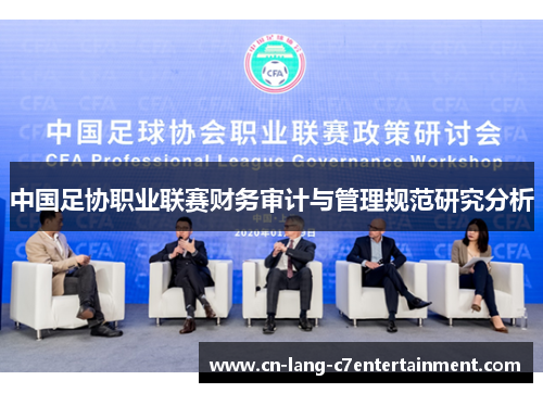 中国足协职业联赛财务审计与管理规范研究分析 中国足协职业联赛财务审计与管理规范研究分析